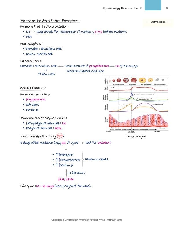 Image of M Revision Notes (World of Revision) | All 19 Subjects in 6 Vol | Spiral Bound