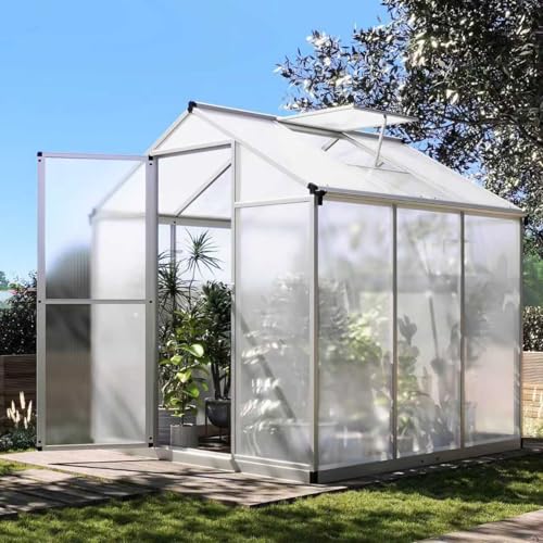 Greenhouse, 6.25x10 Ft Quick-Assembly Green House
