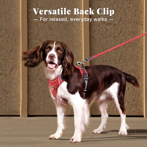 Image of Didog No Pull Dog Harness for Medium Dogs, Classic PU Leather, Red, M
