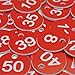 StayMax Plastic ID Number Tags Engraved Tags Key Tags Without Key Rings (1-100, Red)
