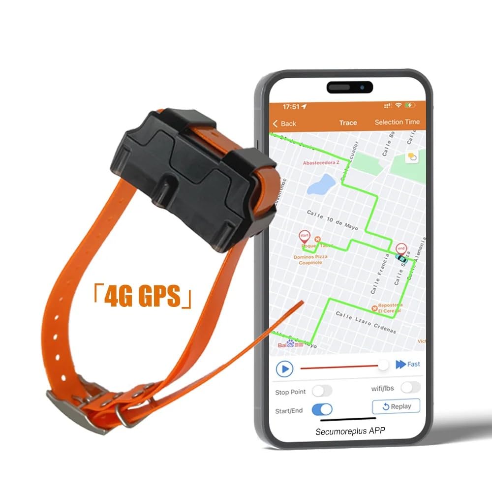 Localizzatore GPS per cani da caccia 4G, con allarme Geo-Freccion, batteria da 4000 mAh e cicalino a distanza, collare impermeabile per il monitoraggio e l'addestramento del cane