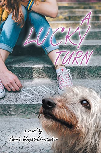 A Lucky Turn view 2
