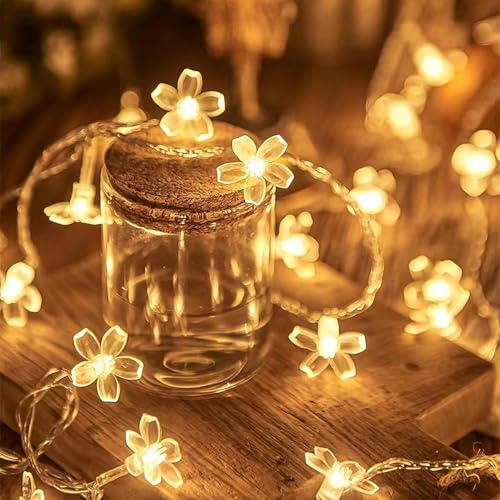 KOBOKO Lichterkette Blumen, 3M 20 LED Blumen Lichterkette, Kirschblüten Lichterketten Batteriebetrieben, Warme Farbe Dekorative Lichter für Garten, Hochzeit, Innen, Außen, Terrasse, Bäume, Partysdeko KOBOKO Lichterkette Blumen, 3M 20 LED Blumen Lichterkette, Kirschblüten Lichterketten Batteriebetrieben, Warme Farbe Dekorative Lichter für Garten, Hochzeit, Innen, Außen, Terrasse, Bäume, Partysdeko
