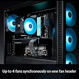 ARCTIC 4-Pin PWM Fan Splitter Cable - PST Extension-Cable for 4 Case Fans, PC Fans, PWM Splitter line, Multi-fan Connector, Fan Splitter, Extension, Splitter, Y-splitter, Adapter, PC - Black - Image 2