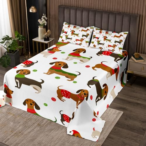 jejeloiu Boys Girls Sausage Dog Quilted Coverlet King Size, Cute Dachshund Coverlet Set Puppy Dog Bedspread Kids Teens Bedroom Decor 3Pcs