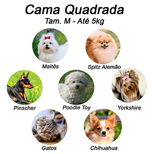 Cama Luxo Para Cachorro Luppet Pequeno Porte até 5kg Marinho M