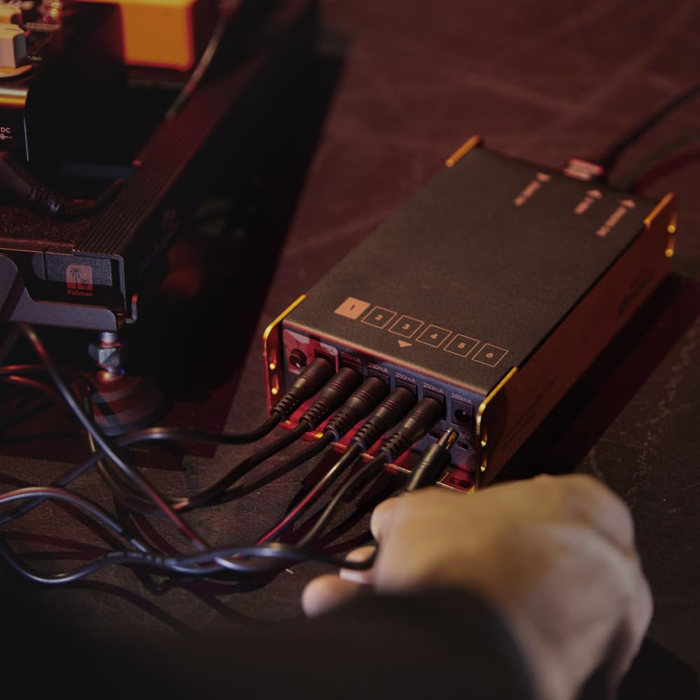 Palmer PWT 06 IEC Universal Pedalboard Netzteil mit USB