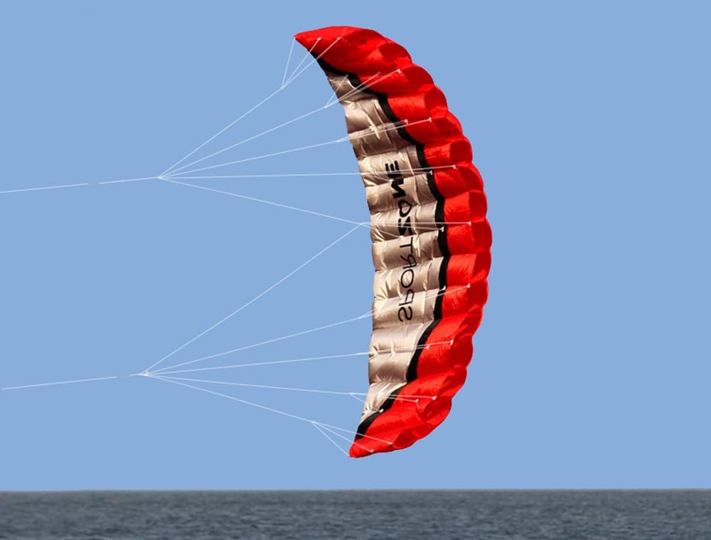 Kwasyo 2.5m Parafoil Kite Outdoor Sports Dual Line Stunt Parachute Beach Kites with Handle 30m Line