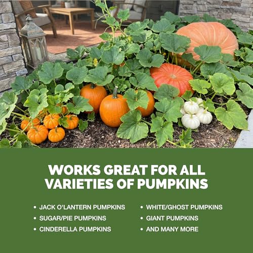 Fertilizante líquido para plantas de calabaza 32 oz miniatura 5