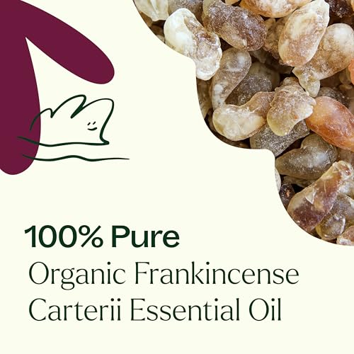 Aceite Esencial Orgánico de Incienso 30 mL miniatura 5