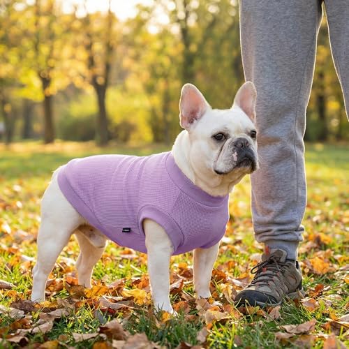 Image of 3 Pack Dog Shirt for Small Supplies Functional Waffle Dog Clothes Warm Soft Sweatshirt Outfit for Dogs Cats Pet Apparel