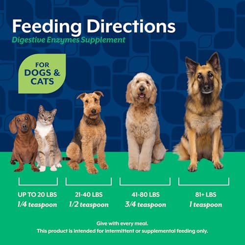 Image of NaturVet Digestive Enzymes with Pre & Probiotic for Dogs & Cats- 1lb Powder
