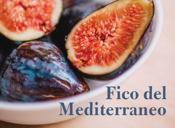 Anuhea profumatore per ambiente in vetro 400ml. Fico del Mediterraneo -Allegrini