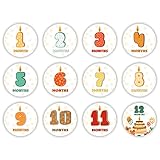 Pegatinas de hito para bebé, pegatinas de hitos mensuales, pegatinas de rendimiento, tarjetas de hito, accesorios para fotos, regalo de bebé, pegatinas de recuerdo, pegatinas para el ciclo de embarazo