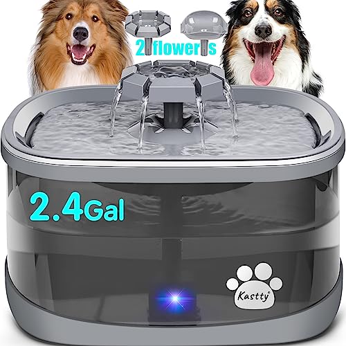 Our 10 Best Pet Fountains Reviews In 2023 Glory Cycles