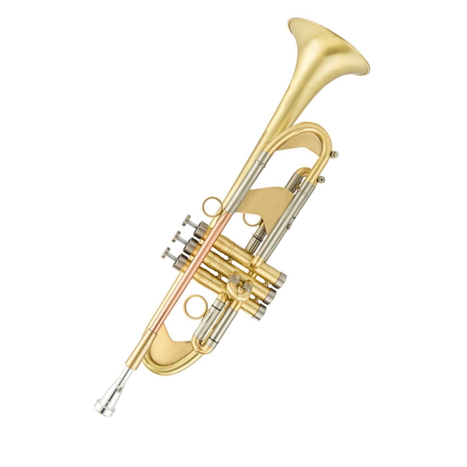 Adult Trumpet Trompette professionnelle en si bémol