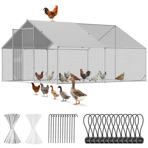 CAMMOO Metal Chicken Coop