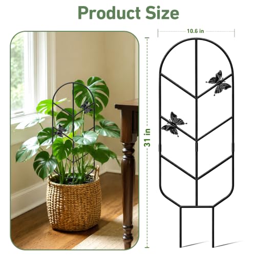Image of Plant Trellis for Potted Plants, Trellis for Climbing Plants