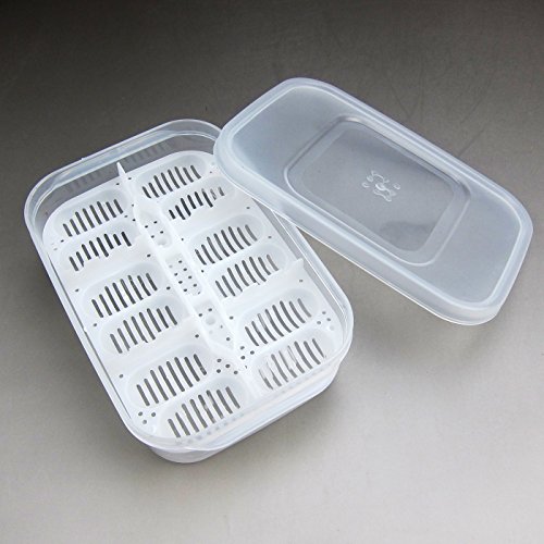 Alfie Pet - Bali Reptiles Egg Incubator Tray