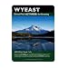Wyeast Activator 1388 - Belgian Strong Ale