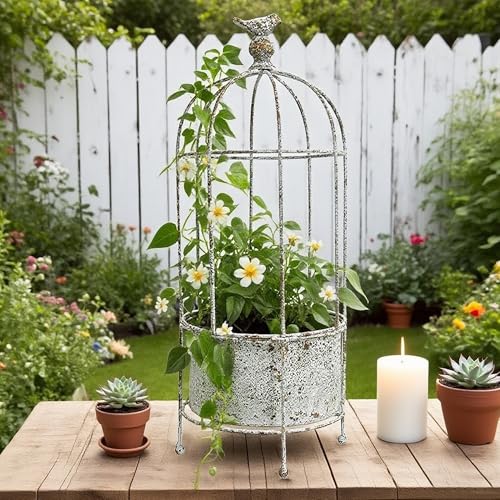 Vintage Rustic Birdcage Planter Stand, Farmhouse Distressed Decorative Metal Round Plants Holder, Outdoor Garden Flower Pot for Climbing Plants, Home Patio Yard Balconies Decor