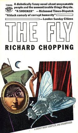fly