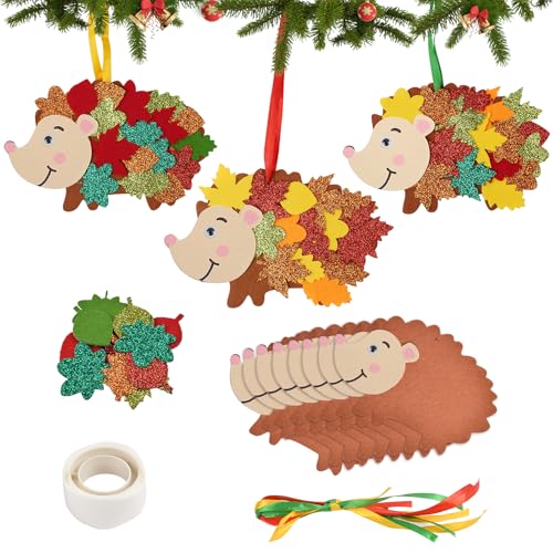 Ainiv 8 Stück Bastelsets Igel Kreativsets zum Basteln DIY Bastelfilz