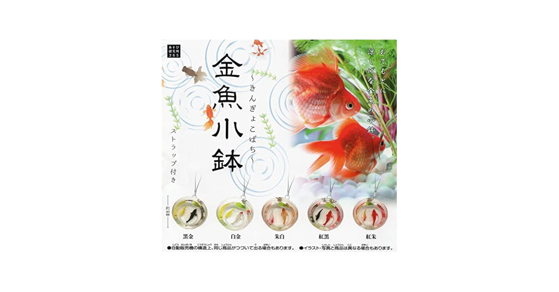 【772】どんぶり金魚のチャーム／ストラップ 772】どんぶり金魚のチャーム／ストラップ 飼育用品
