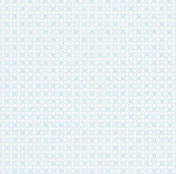 Amazon | 表紙用紙：折り目入り両面ライトブルー地模様 A4サイズ