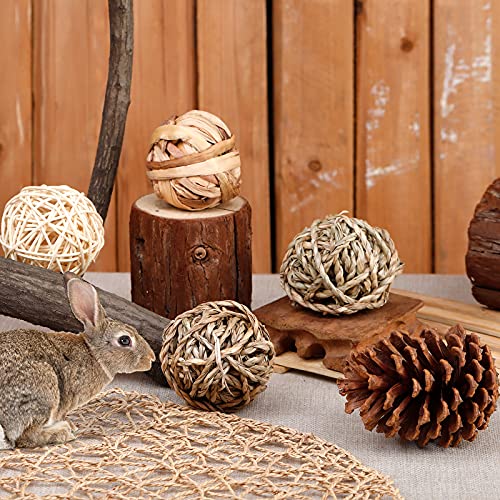 RABBITP 9 Pcs Rabbit Chew Toys for Treat and TeethNatural Grass Willow Balls for Bunny, Rabbit, Hamster, Guinea Pig Pet… - Image 5