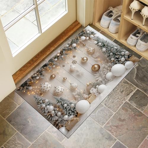 Paillasson Facile à Nettoyer pour Entrée Propre | Tapis Résistant - 4