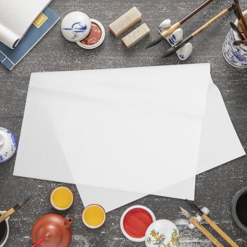 Papel Xuan tradicional absorbente GAROZATION con 100 hojas portátiles de alta fidelidad para tinta 4