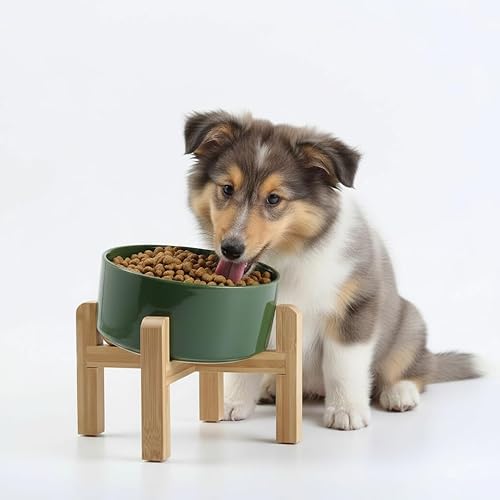Petygooing Cuenco elevado de cerámica inclinado de 15 para perros de razas pequeñas y medianas, cuenco inclinado antideslizante para alimentación de