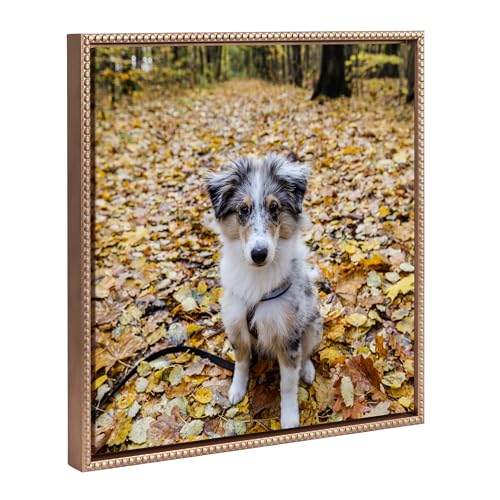 Kate and Laurel Custom Printed Framed Canvas Wall Art, 22x22