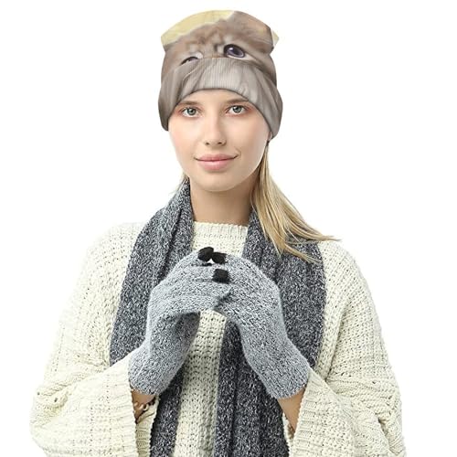 Gorro de punto de gato elástico unisex para invierno 7