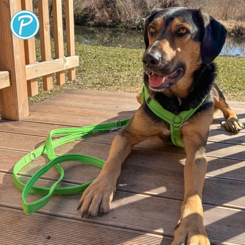Petlando Mesh 3 m Führleine L Apple 3 m / 30 mm