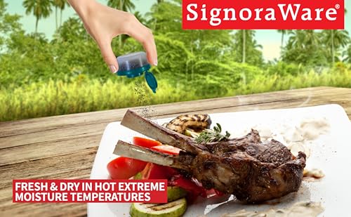 Image of Signoraware BPA Free Plastic Small Spice Sprinkles & Shaker (40ml x 2 | Set of 2 | Teal Blue)