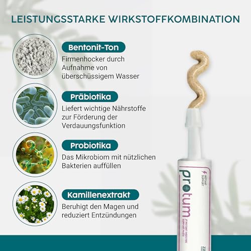 Zanipro Probiotische und Präbiotische Paste für Hunde und Katzen Gegen Durchfall Wurmkur, Natürliches Durchfallmittel für Hunde, 3 Milliarden KBE Probiotika Darmflora, Darmsanierung (30ml) Kürbis