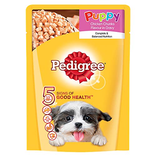 pedigree sachet