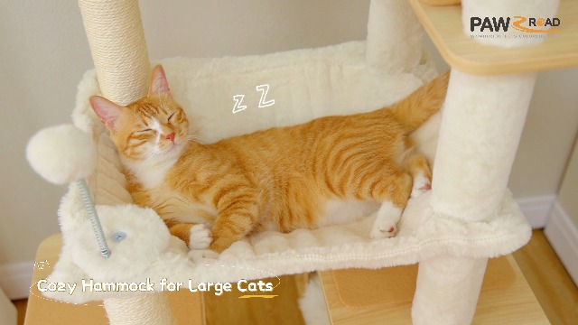 PAWZ Road Floor to Ceiling Cat Tree, Tall Cat Tower Adjustable