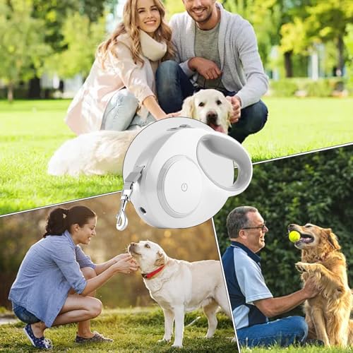 Corde de traction télescopique en nylon robuste avec frein automatique