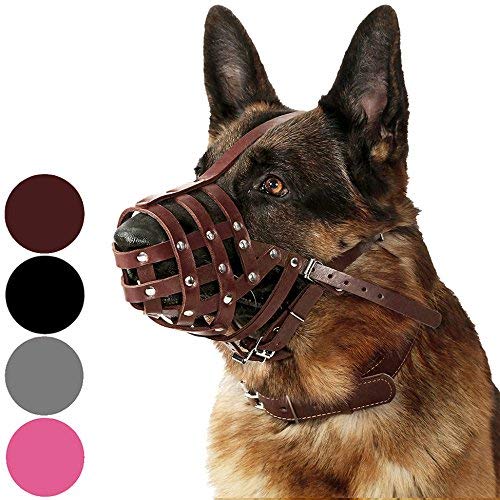 CollarDirect Leather Basket Muzzle