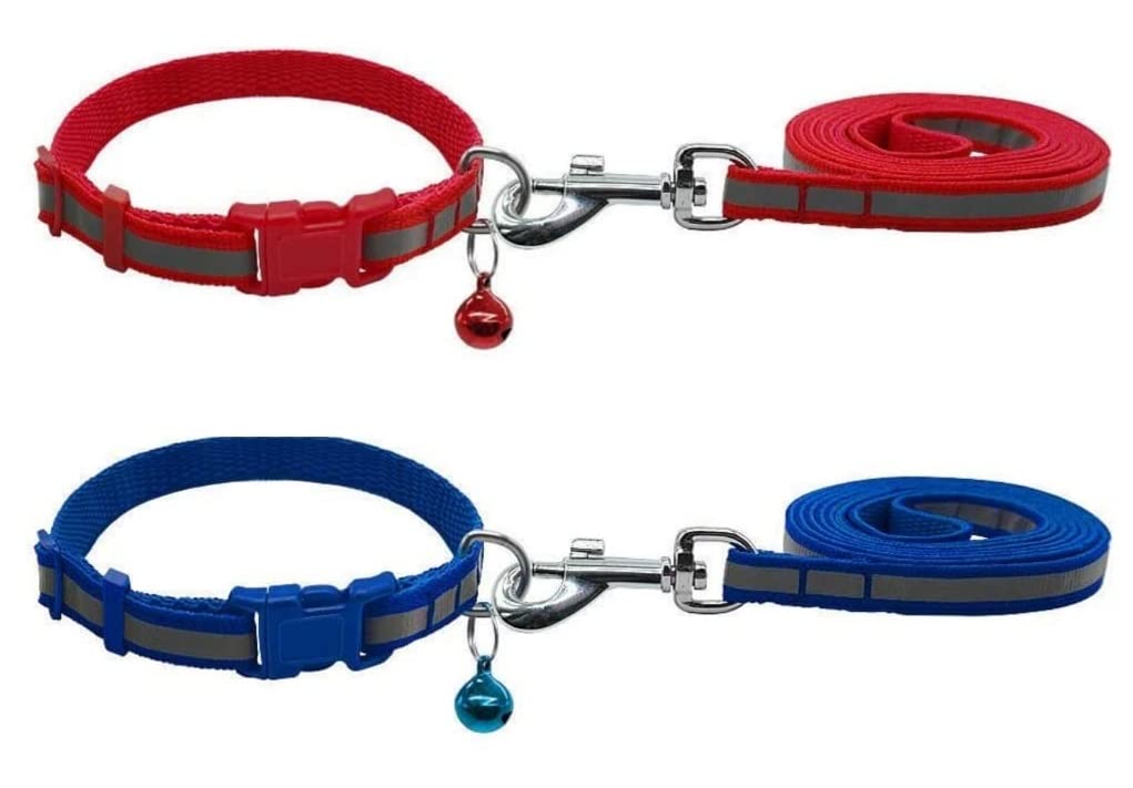 Pups&Pets Combo of 2 Nylon Leash with Collar Set for Puppy-Small - Width 10 MM (B09W5DMCNP) Amazon Price History, Amazon Price Tracker