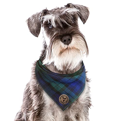Spoilt Rotten Pets The Edinburgh - Bandana per