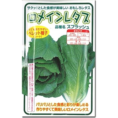Amazon レタス 種子 スプラッシュ ロメインレタス 100粒 野菜