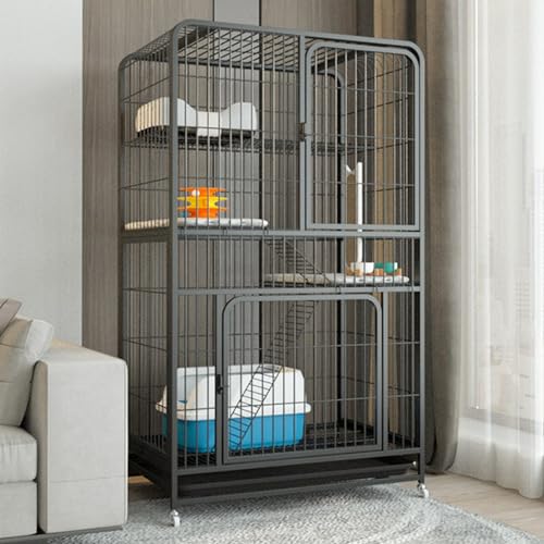 Cage pour chat extérieur avec plateforme de saut et condo fermé spacieux