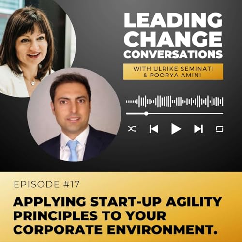 Applying start-up agility principles to your corporate environment Podcast Por  arte de portada