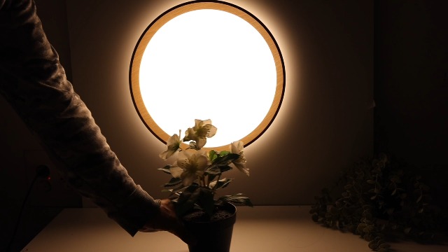 Alpinaluz Plafonnier LED 30 W 40 cm, lumière CCT 3000 K