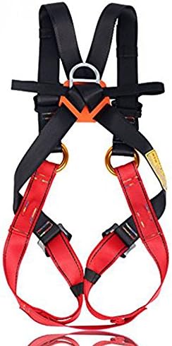 Full Body Climbing Harness Kids,Flower Sea9 Climbing Harness Safe Belts Guide Harness for Mountaineering Outward Band Expanding Training Caving Rock Climbing Rappelling Equip (S(4-10years))