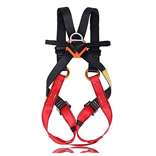 Full Body Climbing Harness Kids,Flower Sea9 Climbing Harness Safe Belts Guide Harness for Mountaineering Outward Band Expanding Training Caving Rock Climbing Rappelling Equip (S(4-10years))